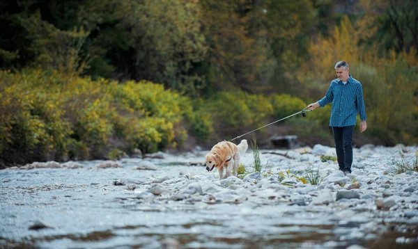 Man Dog Walking Together Nature Healthy Lifestyle Pet Care Concept — Stockfoto