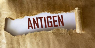 Yırtık kahverengi kağıda yazılmış ANTIGEN metni, tıbbi kavram