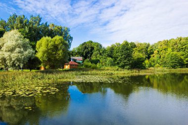 Güneşli bir günde, gölü olan yaz köyü manzarası