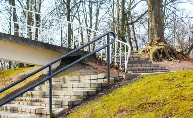 Sonbaharda merdivenleri park et. Sonbahar manzarası büyük kökleri olan sonbahar ormanlarıyla çevrilidir..