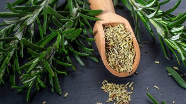 Fresh Rosemary and rosmaryspices on the black background