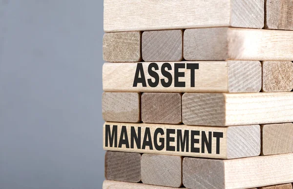 Tekst Houten Blokken Asset Management — Stockfoto