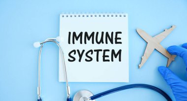 Açık ahşap bir masanın üzerinde steteskop, bir kalem ve IMMUNE SİSTEM yazılı bir kağıt var. Tıbbi konsept