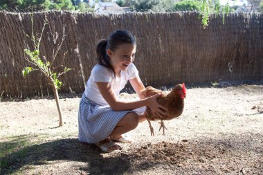 Bedava otlayan kahverengi tavuk. Eko konsepti. Çiftlik