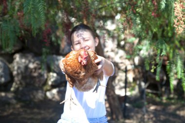 Kahverengi tavuğu elinde tutan mutlu kız. Eko konsepti. Eko çiftliği.
