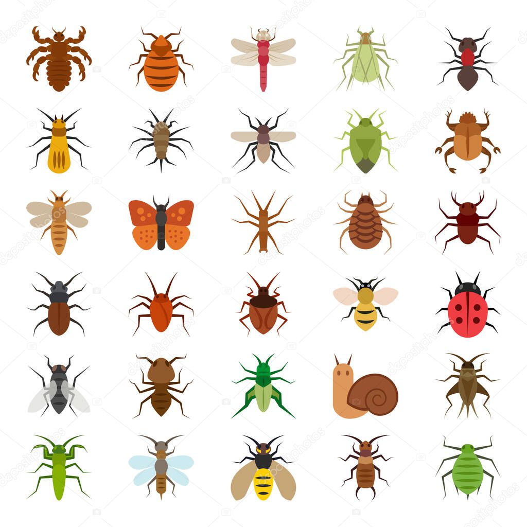 Flat color icons for insects.