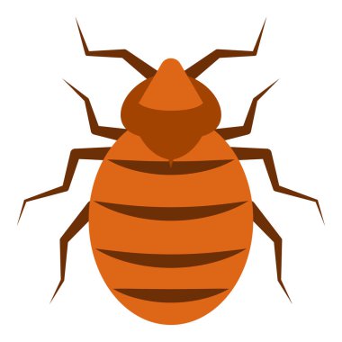 Parazit böceği için düz renk simgesi.