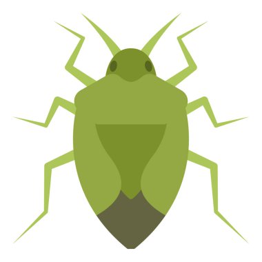 Koku böceği için düz renk simgesi.