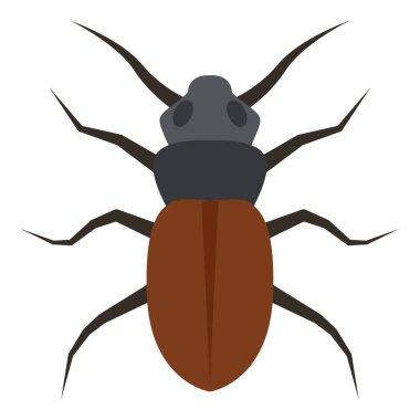 Böcek böceği için düz renk simgesi.