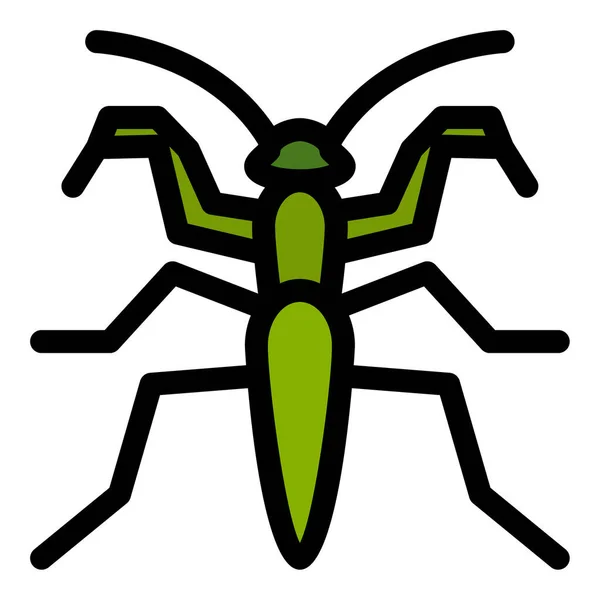 Icône Contour Remplie Pour Prier Bug — Image vectorielle