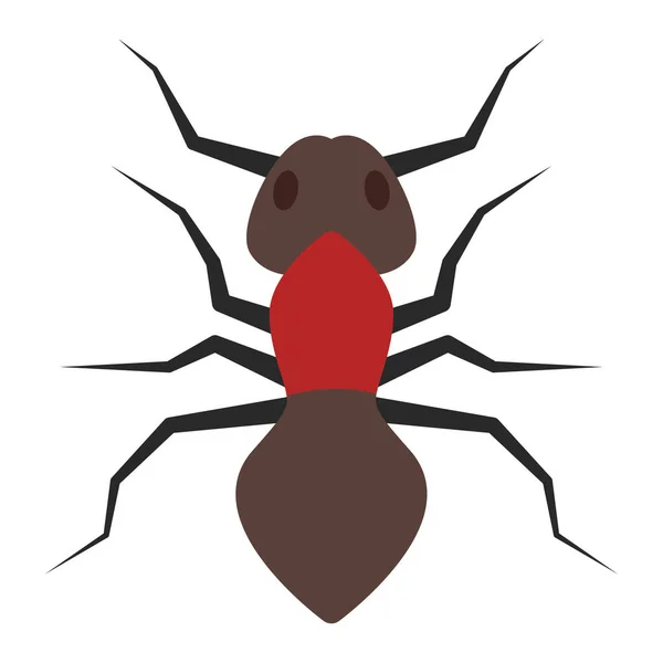 Flat Color Icon Ant — Stock Vector