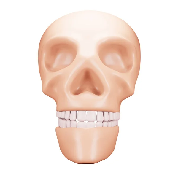 Skull Rendering Isometric Icon — Stockvektor