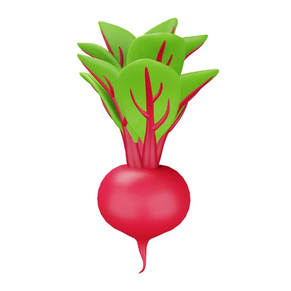 Beetroot Rendering Isometric Icon — Stok Vektör