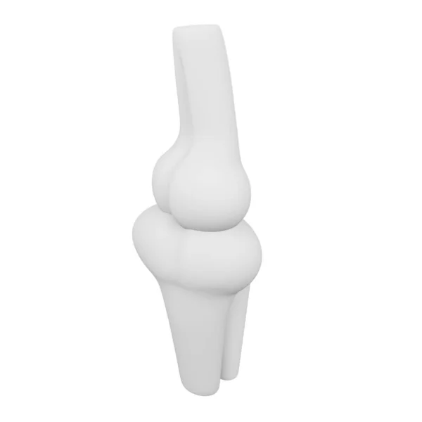Bone Rendering Isometric Icon — Stockvektor