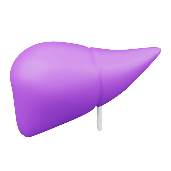 Liver Rendering Isometric Icon — Archivo Imágenes Vectoriales