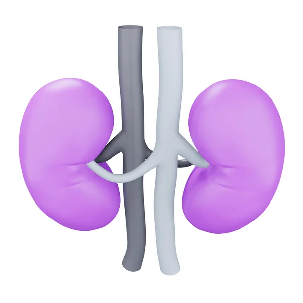 Kidney Rendering Isometric Icon — Stockový vektor