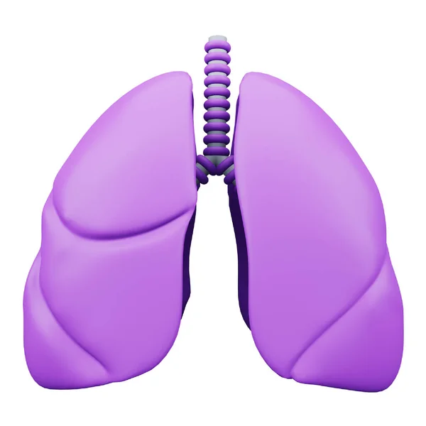 Lungs Rendering Isometric Icon — Stok Vektör