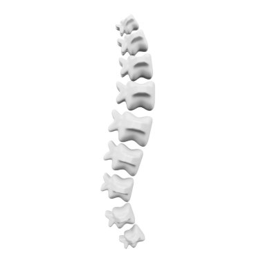 Spine 3D rendering isometric icon.