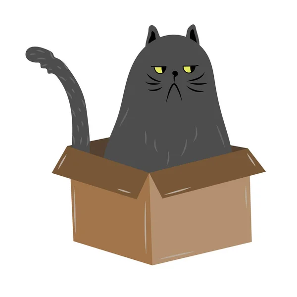 ドアの中のでこぼこ黒い猫は ボックスに座っている 真剣な顔をした面白い子供っぽいペットキャラクター ベクトル — ストックベクタ