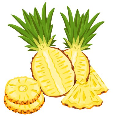 Beyaz arkaplanda ananas bileşimi, vektör