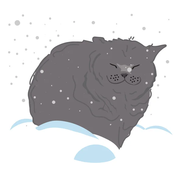 Gato Acuesta Juega Suelo Con Nieve Ojos Cerrados Parece Muy — Archivo Imágenes Vectoriales