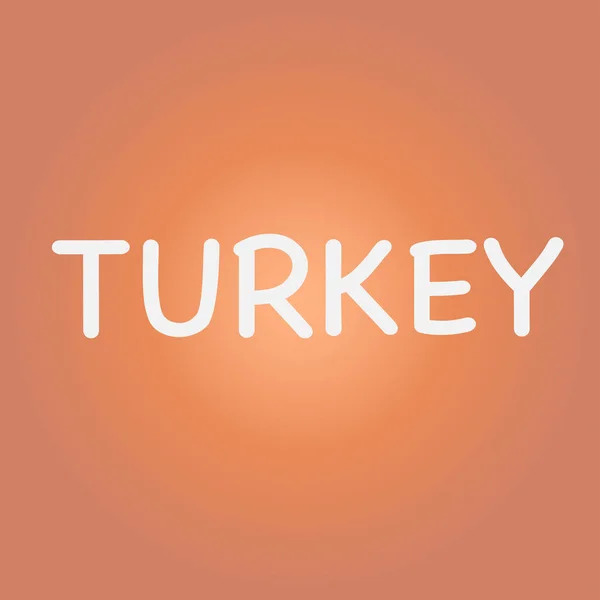 トルコのテキストスタイルベクトルイラスト バナー — ストックベクタ