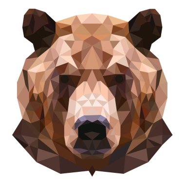 Boz ayı portresi. Düşük Poli tasarlamak. Vektör çizim.