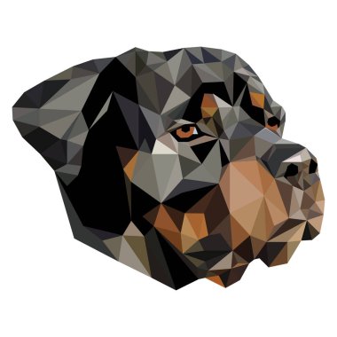 Büyük İsviçre Dağ Köpeği 'nin düşük çokgen portresi, GSMD ya da Swissy olarak bilinir. Köpek kafasının vektör görüntüsü 