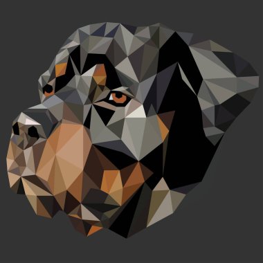 Gsmd veya Swissy olarak bilinen büyük İsviçre dağ köpek, düşük poligon portresi. Dog Head'a siyah arka plan üzerine vektör görüntü.