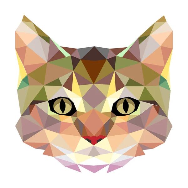 Vector Kat Polygon Stijl Driehoek Vector Illustratie Van Dier Voor — Stockvector