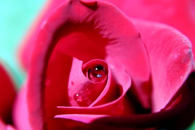 Esmer kum tepeleri manzarası 