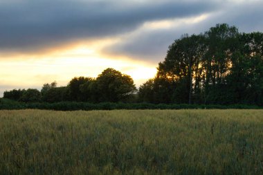 Tarlaların üzerinde gün batımı