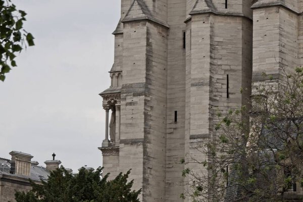 cathedral of notre dame de city