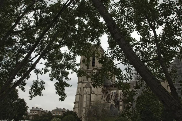Katedra Notre Dame City — Zdjęcie stockowe