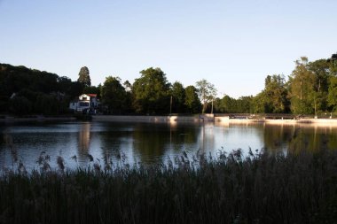 Göldeki ağaçların yansıması