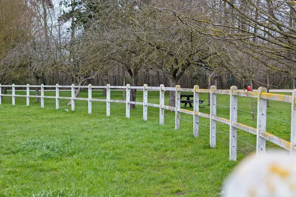 White Fence Park — Stock Photo, Image