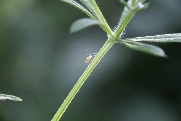 Perto Uma Fábrica — Fotografia de Stock