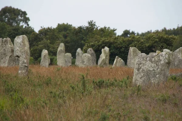 Stone Cross Field — Stockfoto