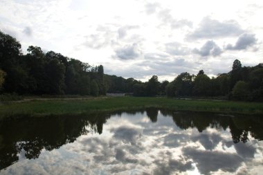 Göldeki ağaçların yansıması