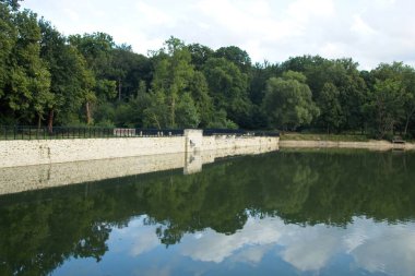 Göldeki ağaçların yansıması