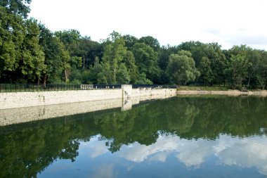 Göldeki ağaçların yansıması