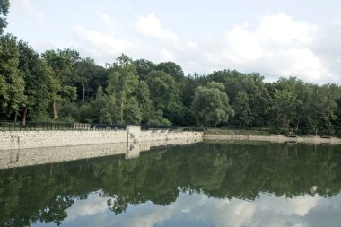 Göldeki ağaçların yansıması