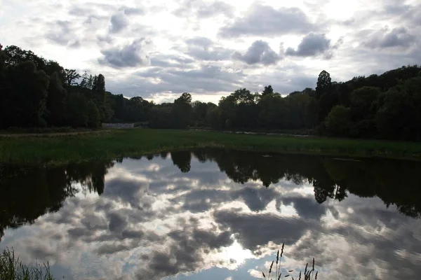 Reflection Trees Lake — Stock Photo, Image