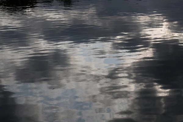 Reflexão Árvores Lago — Fotografia de Stock