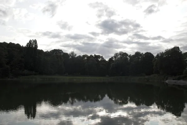 Reflexion Der Bäume See — Stockfoto