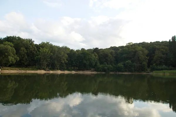 Reflexão Árvores Lago — Fotografia de Stock