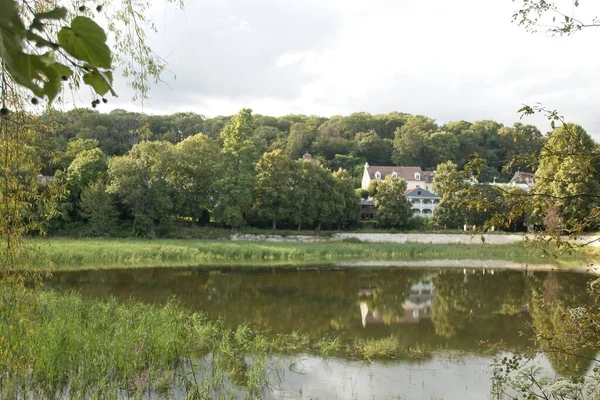 Pond Park — Stock Photo, Image