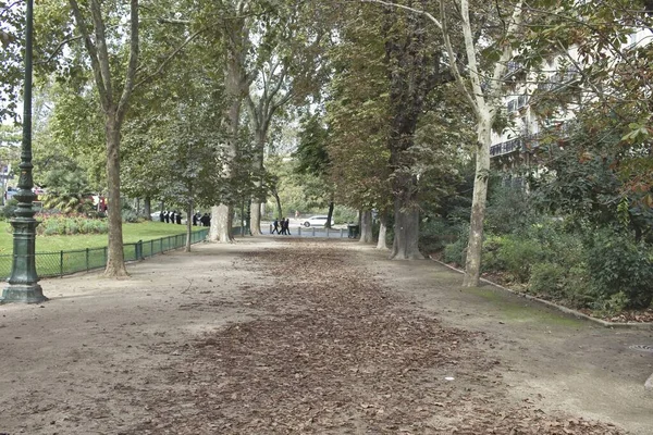 Sentier Dans Parc — Photo