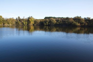 Sudaki ağaçların yansıması