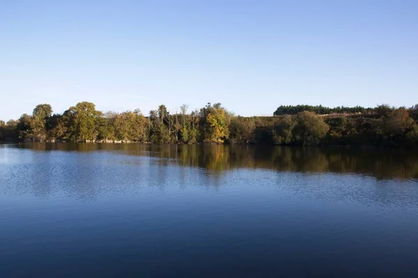 Réflexion Des Arbres Dans Eau — Photo